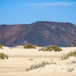 Vuelos a Fuerteventura + 4 noches en un aparthotel con vistas al mar por 160€